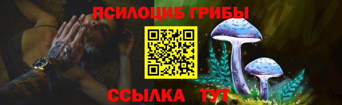 Ангарск  купить наркотики сайты  Галлюциногенные грибы Psilocybine cubensis  Вход с VPN  Псилоцибиновые грибы Cubensis 